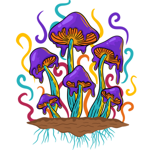 Magic Mushroom T-shirt