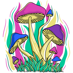 Trippy Mushroom T-shirt